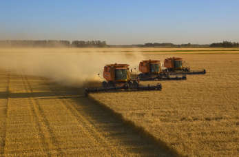 Dlaczego warto skorzystać z usług dobrego dystrybutora pojazdów i maszyn rolniczych?