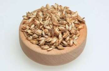 Naturalna droga do zdrowia i równowagi – filozofia św. Hildegardy w ofercie Hildegarda Sp. z o.o.