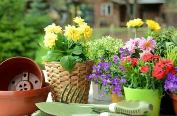 Zakładanie ogrodu z Centrum Ogrodniczym Tuchom