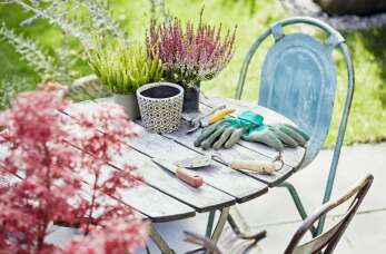 Nowoczesne narzędzia ogrodnicze – Erwas Centrum Ogrodnicze