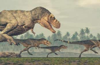 Park Dinozaurów Nowiny Wielkie – edukacja i zabawa