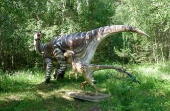 Park Dinozaurów Nowiny Wielkie – odkryj prehistorię