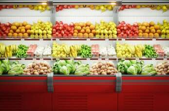 Efektywna sprzedaż hurtowa owoców i warzyw