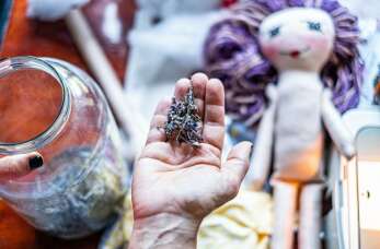 Zioła suszone – zdrowie i smak z Podlaskiego Ziółka