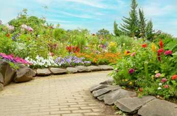 Usługi ogrodnicze a bioróżnorodność w Ełku