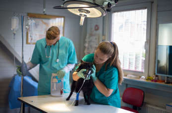 Dlaczego warto wybrać technikum z konkretnym kierunkiem zawodowym a nie liceum?