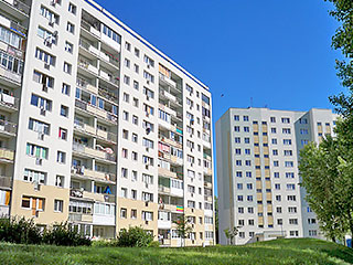 Falowiec Falowiec