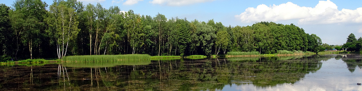 Sosnowiec - atrakcje turystyczne
