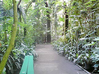 Palmiarnia Palmiarnia