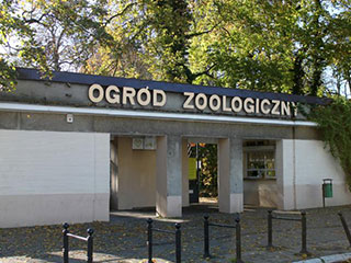 Stare Zoo Stare Zoo
