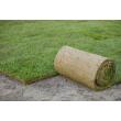 Trawa z rolki